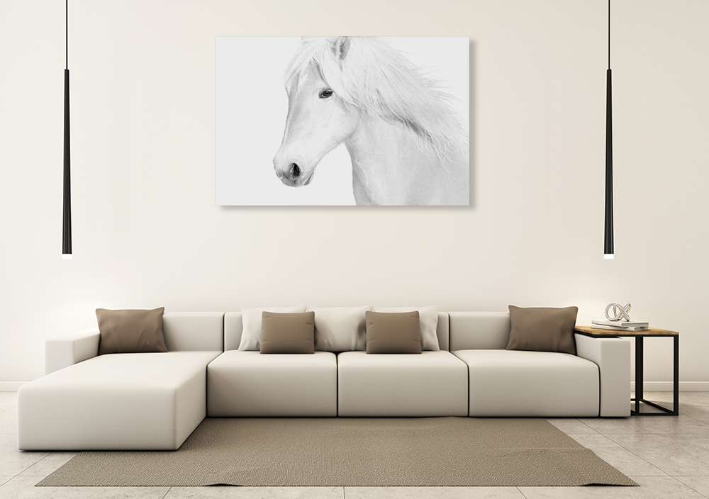 White Horse Wall Art Print