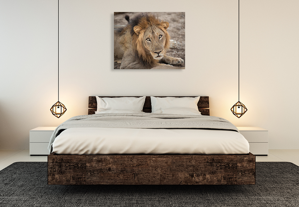 Landscape Animal Wall Art Print on Canvas