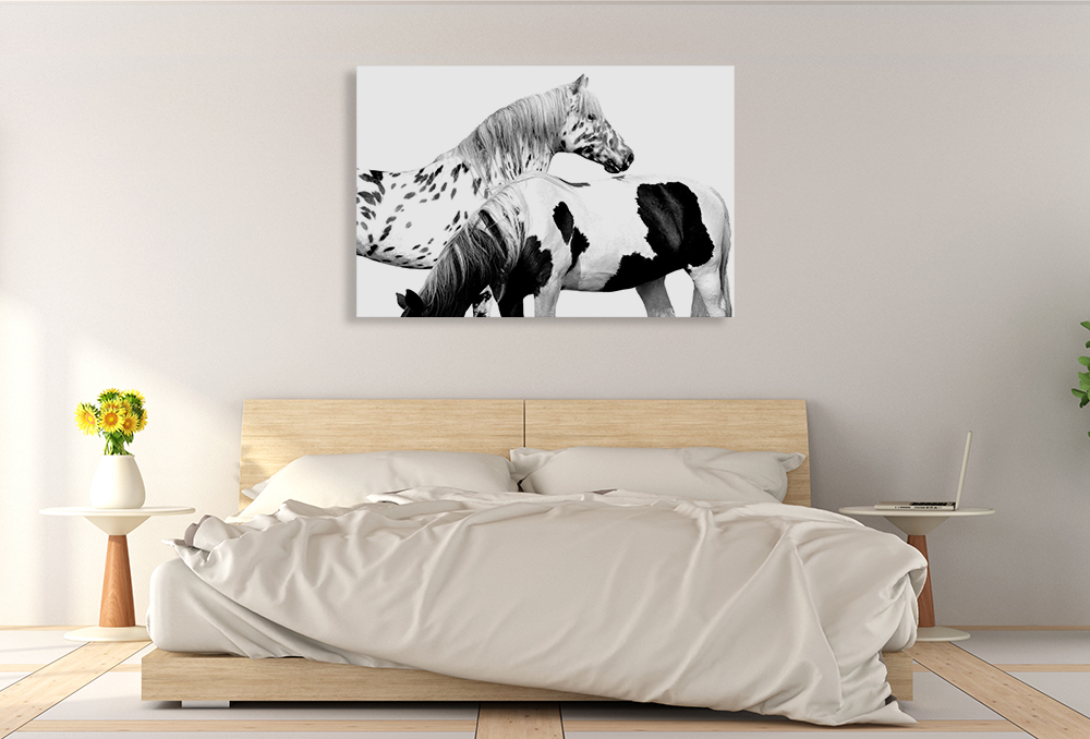 Animal Art Print on Canvas