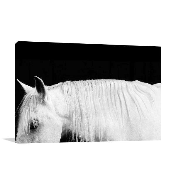 White Horse on Black I Wall Art Print