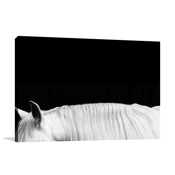 White Horse on Black II Wall Art Print