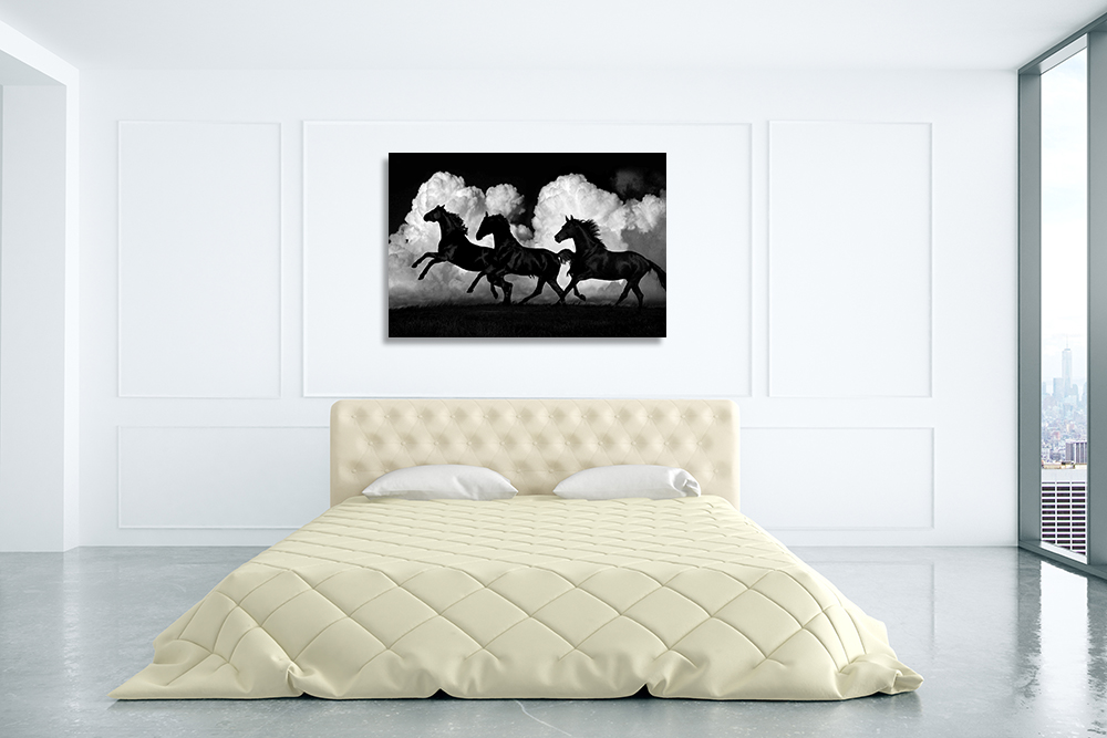 Black and White Art Print Canvas