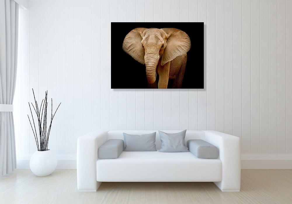 Brown Wild Animals Wall Print Decor