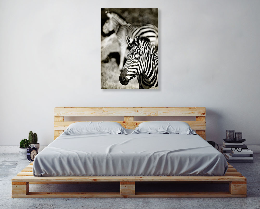 African Black and White Animal