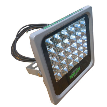 Hydro Glow FL50 50W\/120VAC Flood Light - Green [FL50]