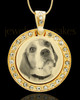 Photo Engraved Gem Circle Pet Pendant Gold Plated over Stainless