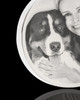 Photo Engraved Stainless Steel Round Pet Keychain