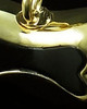 Pet Ash Urn Pendant Gold Plated Black Bone