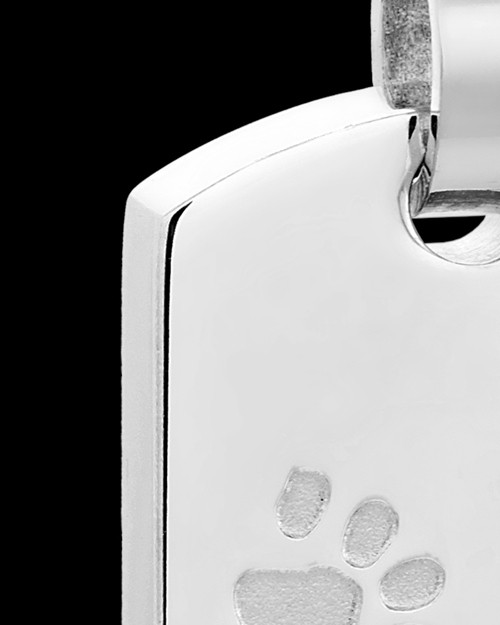 Stainless Taking A Stroll Rectangle Pet Keepsake