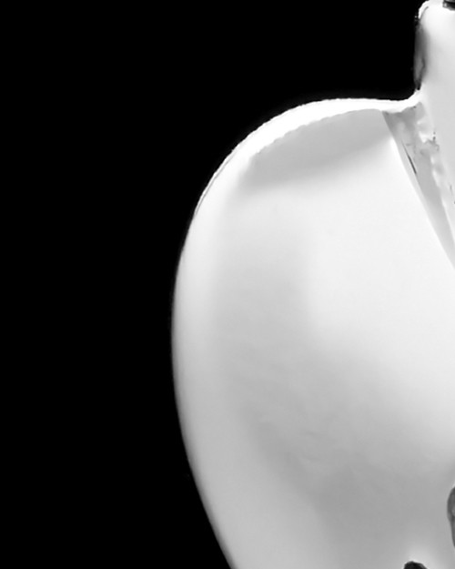 Stainless Steel Heart Memorial Necklace for Beloved Pets