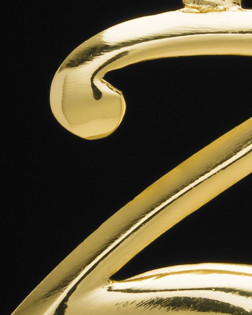 Gold Plated "Z" Keepsake Jewelry