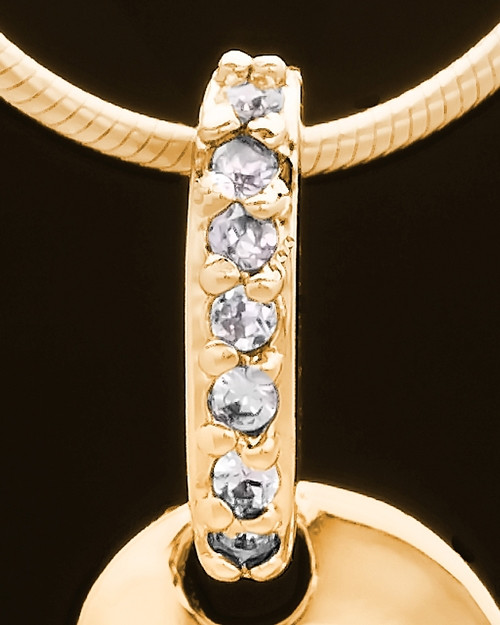 Gold Plated Tenderness Keepsake Jewelry