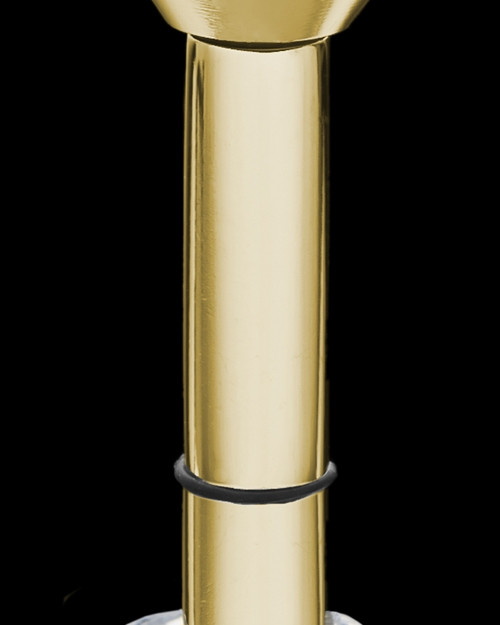 Gold Plated Stainless Millenium Cremation Pendant with Trusting Charm