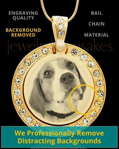 Photo Engraved Gem Circle Pet Pendant Gold Plated over Stainless
