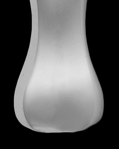 Sterling Silver Best Pal Bone Permanently Sealed Waterproof Jewelry