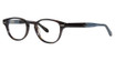 Original Penguin Eyeglasses The Murphy Tortoise/TO