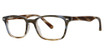 Original Penguin Eyeglasses The Clyde Liquid Tortoise/LT
