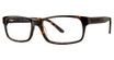 Elan Collection Eyeglasses 3710 Tortoise