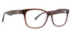 Trina Turk Eyeglasses Birdie Brown/Teal/BTE