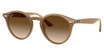 Ray-Ban Eyeglasses RB2180F TURTLEDOVE/616613