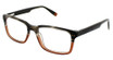 Steve Madden Eyeglasses Troopah Smoke Horn Fade