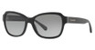 COACH Eyeglasses HC8232 L1010 BLACK/551011