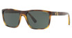 Polo Eyeglasses PH4133 SHINY TRANSPARENT DARK H/500371