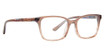XOXO Eyeglasses Chatham Toffee/TOFE