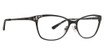 XOXO Eyeglasses Caspar Black/BLCK
