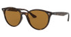 Ray-Ban Eyeglasses RB4305F LIGHT HAVANA/710/83