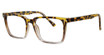 Star Series Eyeglasses STAR ST6251 Brown Demi/Clear/C3