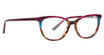 XOXO Eyeglasses Biscayne Brown/BRWN