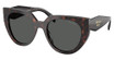 Prada Eyeglasses PR 14WS ROOT TORTOISE/17N40L