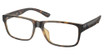 Polo PH2237U SHINY HAVANA/5003