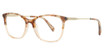Longchamp LO2683 (238) TEXTURED BROWN GRADIENT/238