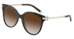 Tiffany Eyeglasses TF4193B HAVANA ON TIFFANY BLUE/81343B