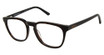 AÉROPOSTALE AERO1005 Tortoise/TORTOISE