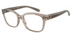 Armani Exchange Eyeglasses AX3098 SHINY TRANSPARENT TUNDRA/8240