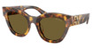 Miu Miu Eyeglasses MU 01YS HAVANA HONEY/14L09Z