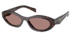 Prada Eyeglasses PR 26ZS ROOT TORTOISE/17N60B