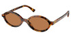 Miu Miu MU 04ZSF HAVANA CORK/19P2Z1