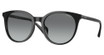 Vogue® Eyeglasses VO5468SD BLACK/W44/11