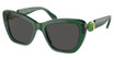 SWAROVSKI Eyeglasses SK6018 TRANSPARENT DARK GREEN/104587