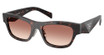 Prada Eyeglasses PR B09SF ROOT TORTOISE/17N50L