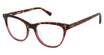 Vision's AFV264 TORTOISE ROSE/C01