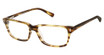 Vision's Eyeglasses GH04 YELLOW HAVANNA/C01