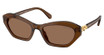 SWAROVSKI Eyeglasses SK6048 TRANSPARENT BROWN/108473