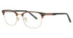 TWENTY/XX Eyeglasses VIRTUE AMBER