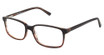 XXL Eyewear Eyeglasses Bearcat Black Demi/BLACK DEMI