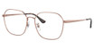 Ray-Ban Rx Eyeglasses RX6490D COPPER/2943